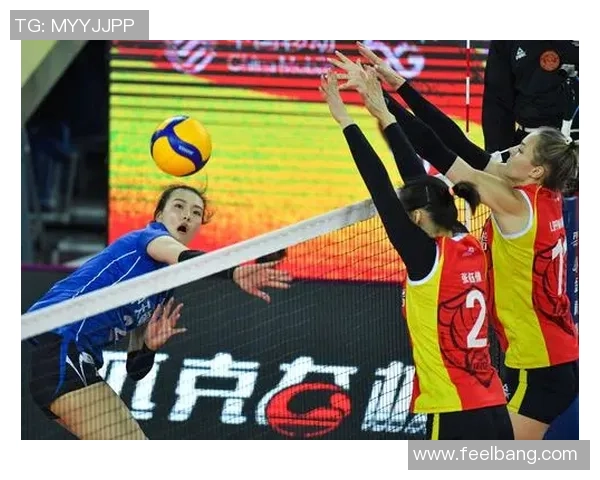 王伟独家分享排球心得与技巧提升之道助你成为排球高手